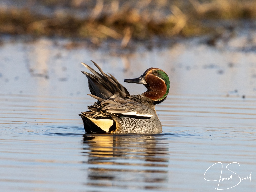 Wintertaling